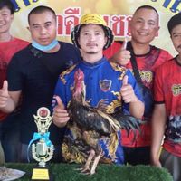 ซุ้มรวมดาว