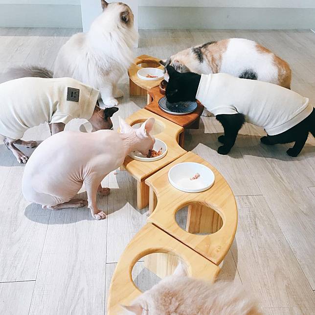 （圖片來源／IG @kula357）