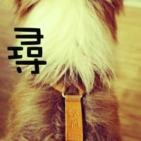 北區尋毛即時通報 V.2