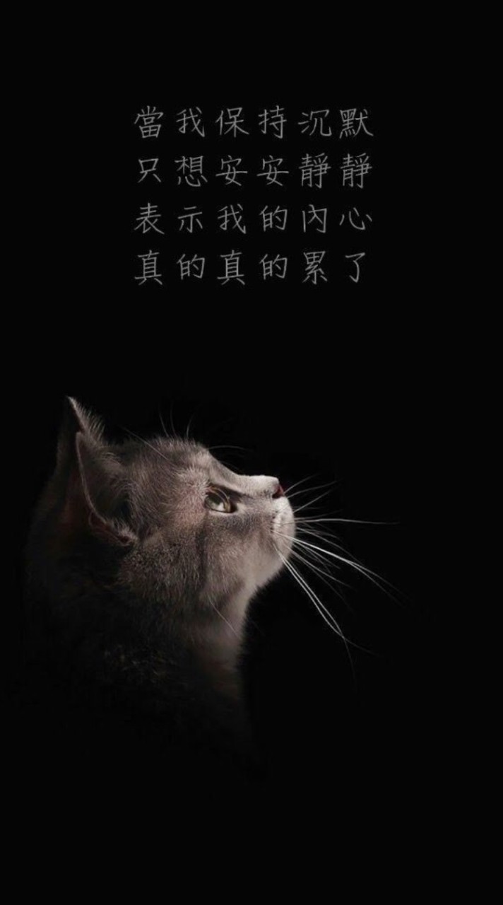人生不順 希望不再（發洩心情）