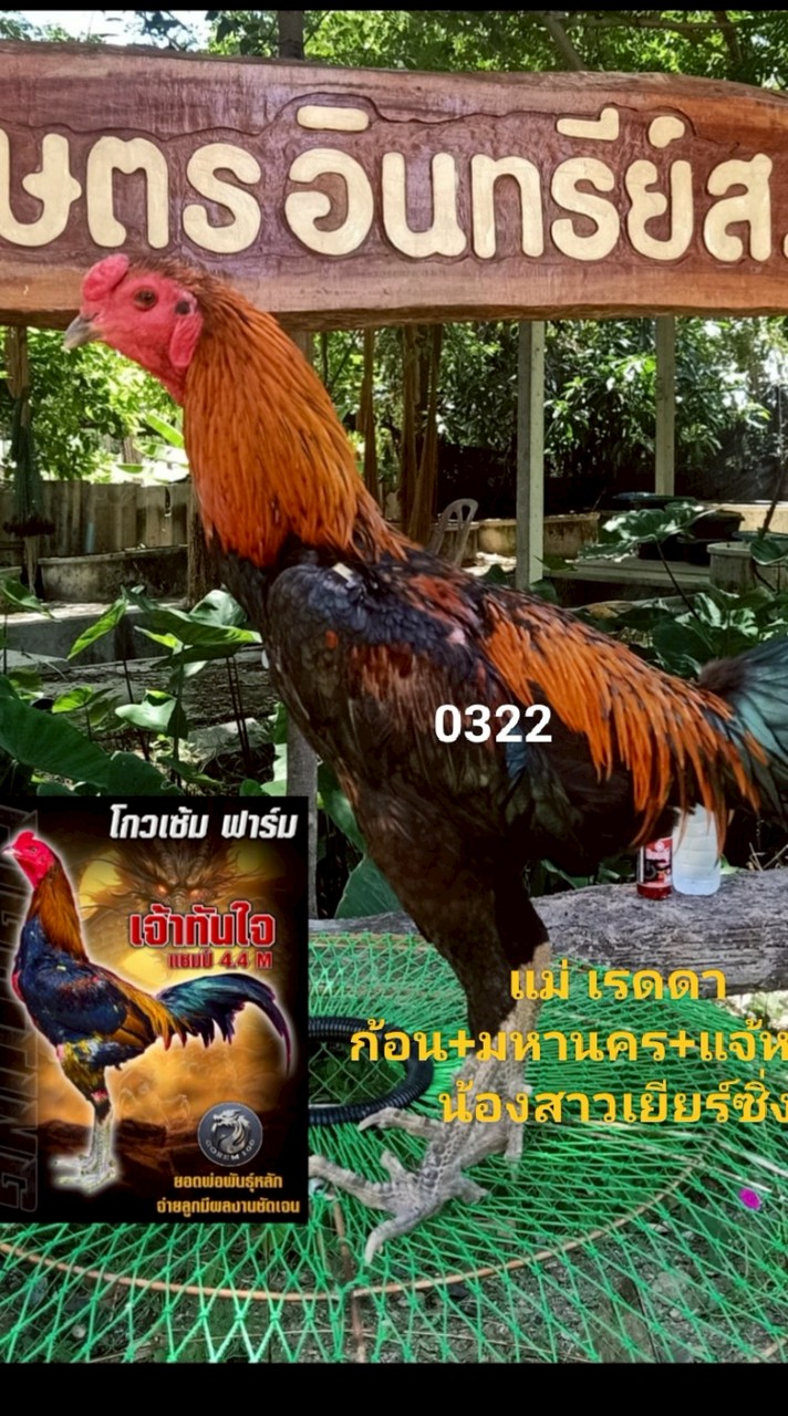 ส.โกศลนวกิจ