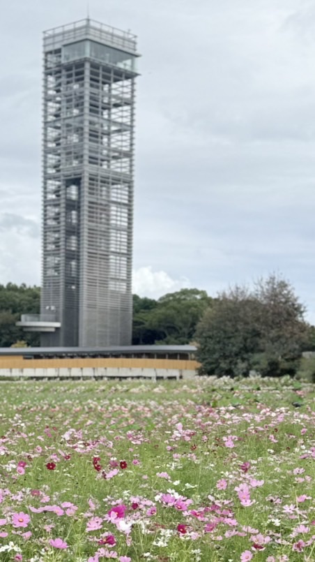 東海4県🐶犬と暮らす人の部屋✨