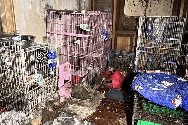李姓女子在租屋處飼養10多隻貓狗卻放任不管，造成牠們活活被餓死。（桃園市動保處提供）