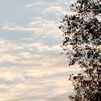 唱歌、聽歌（中文）