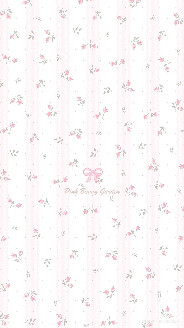𓂃 ร้านเสื้อผ้าใบกิ่ง☘️𓈒 * 𓈈