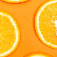 สีส้ม : Orange 🍊