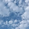 99日暇な人やりましょう!