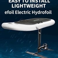 eFoil電動水翼& assist電動輔助推進系統討論群