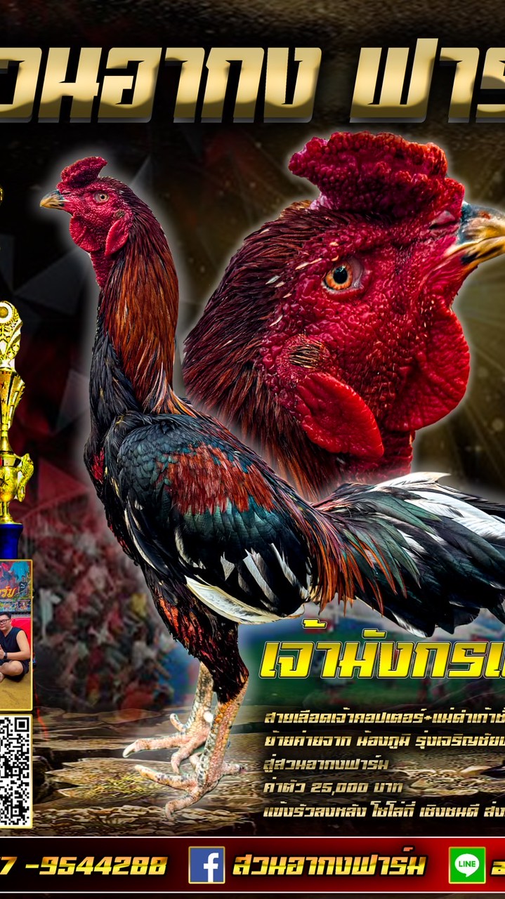 ซุ้มยิ่งเจริญ สวนอากงฟาร์ม