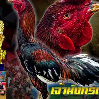 ซุ้มยิ่งเจริญ สวนอากงฟาร์ม สว่างแดนดิน