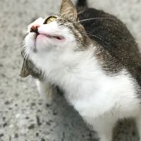 Riku股票當沖討論分享