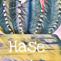 Hase cactus
