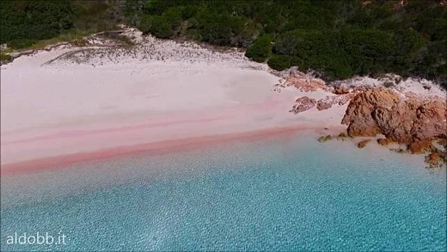 7 Pantai Pink Paling Indah di Dunia yang Wajib Dikunjungi