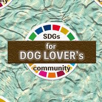 DLC【プロフェッショナル部】