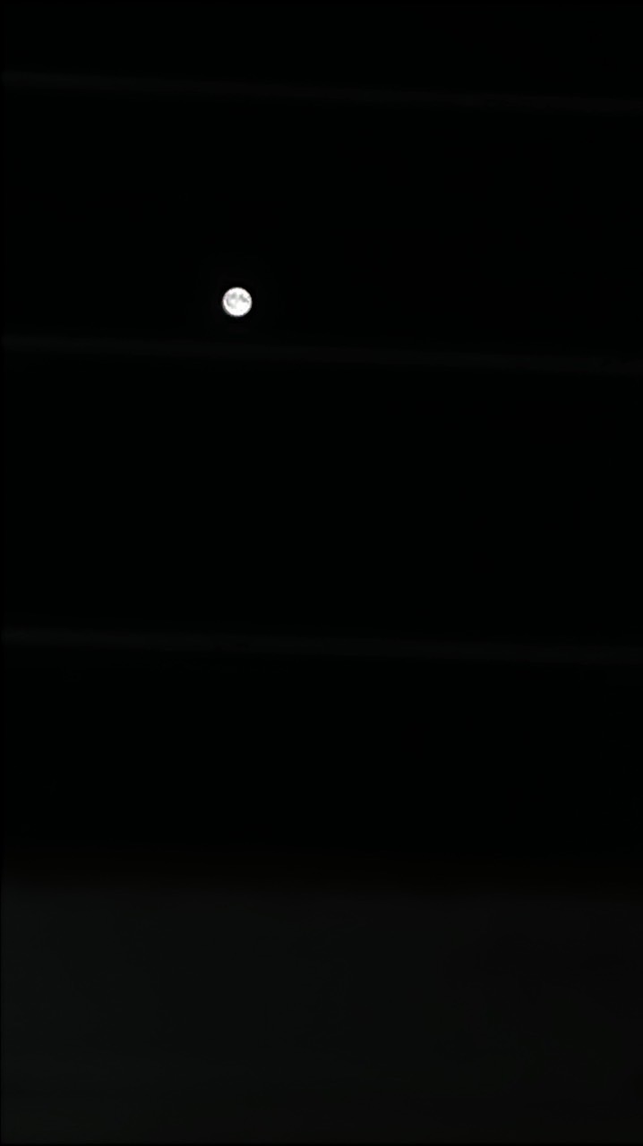 臺灣諧音生生不息