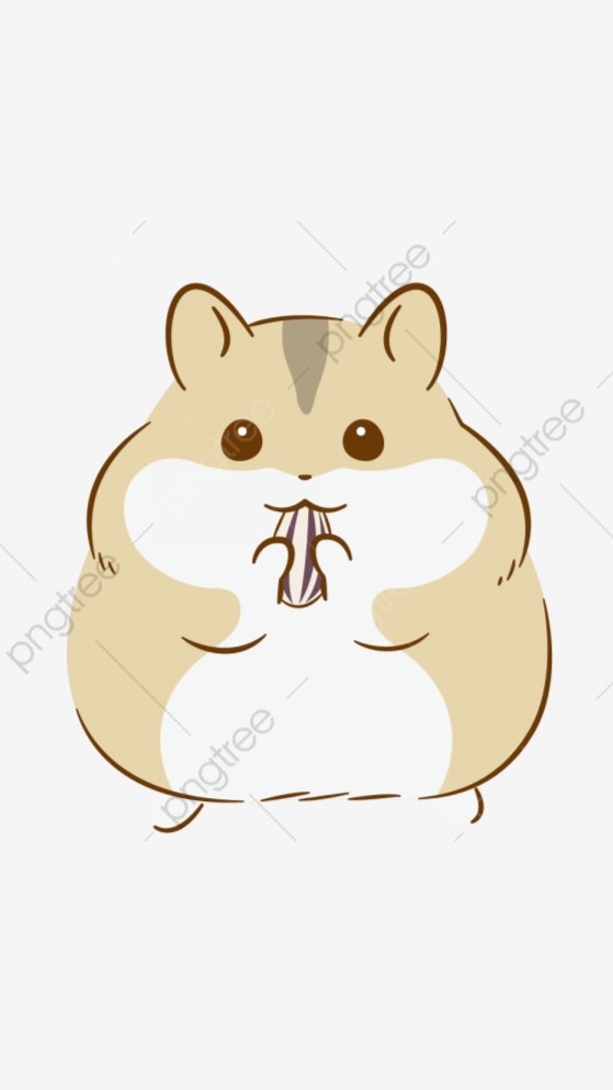 ครอบครัวแฮมเตอร์