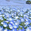 【対荒らし】TRL特殊部隊