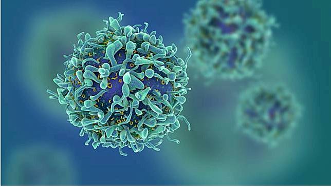 Ilustrasi sel dalam tubuh. (Foto: Thinkstock)