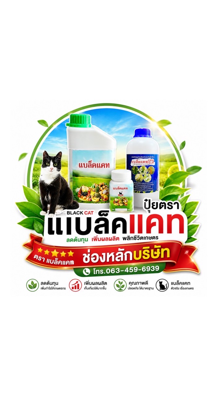 ปุ๋ยแบล็คแคท ⭐️ช่องบริษัท⭐️