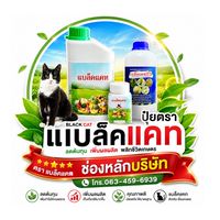 ปุ๋ยแบล็คแคท ⭐️ช่องบริษัท⭐️