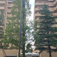 ｹﾝﾄﾂｲﾝﾊﾟﾚｽ管理組合