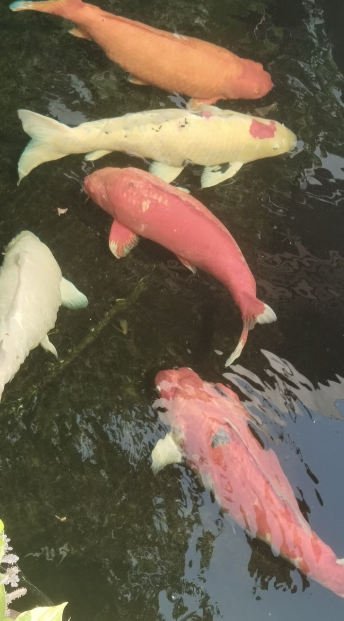 ฝากรูปตัดต่อแต่ละวัน