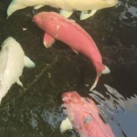 ฝากรูปตัดต่อแต่ละวัน
