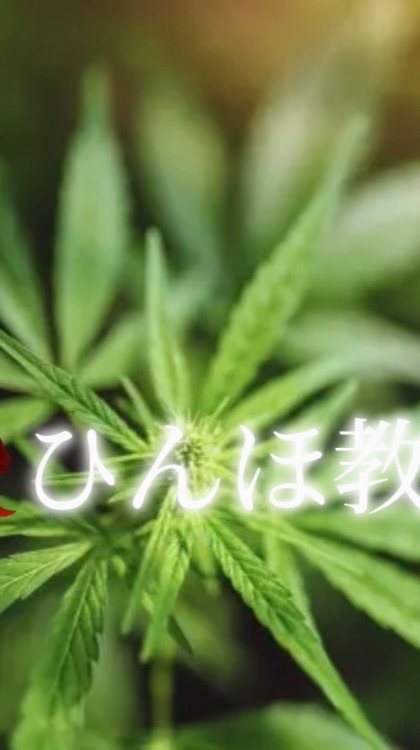 🥀.ひんほ教.🥀