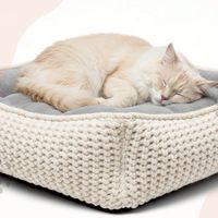 cozy paws人寵共融家居軟裝 懶骨頭床墊