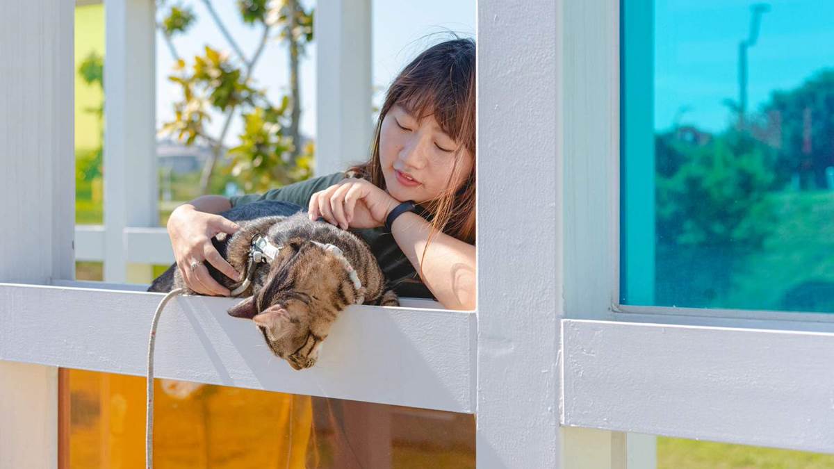 占地20萬坪稱霸台中！「中央公園」６大IG夯點免費拍爆，順路吃３美食