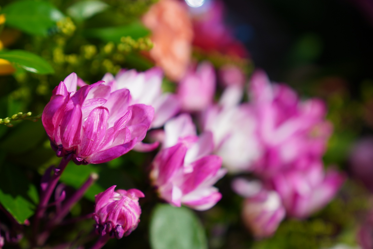 E接環首顆APS-C鏡皇終於來到，Sony 16-55mm F2.8 G 實測動手玩（NDA至9/18 10:00）