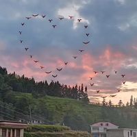 初晴ㄉ賣場🫶🏻.💍
