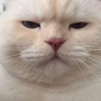 ขอคุยด้วยได้มั้ย