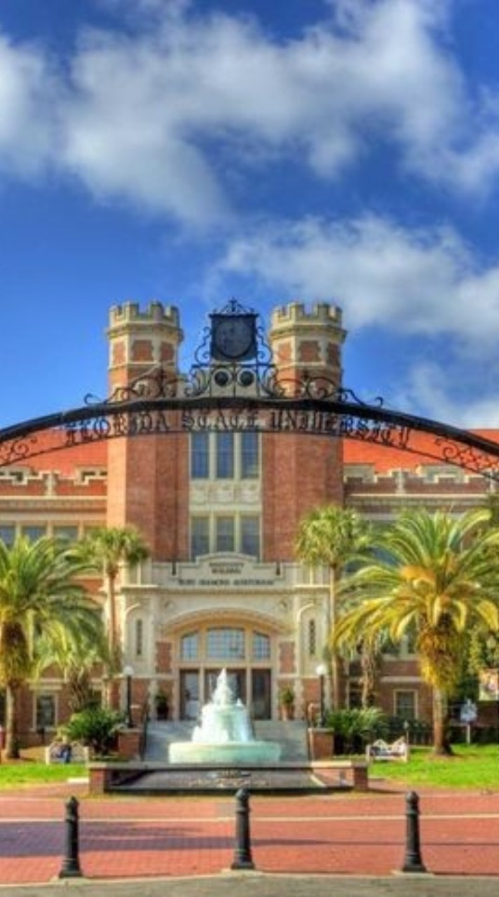โรงเรียนโชกุนนานาชาติ(โรงเรียนปลอม)