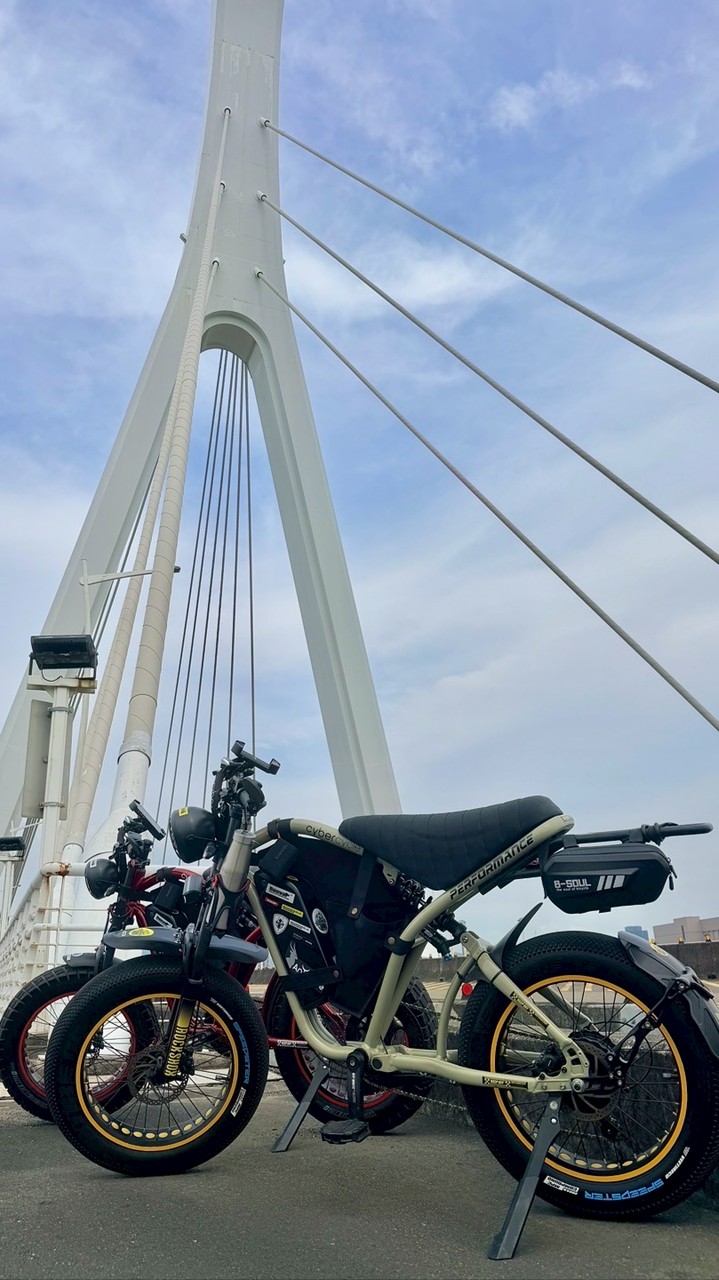 Rhino胖胎電輔自行車（北部）