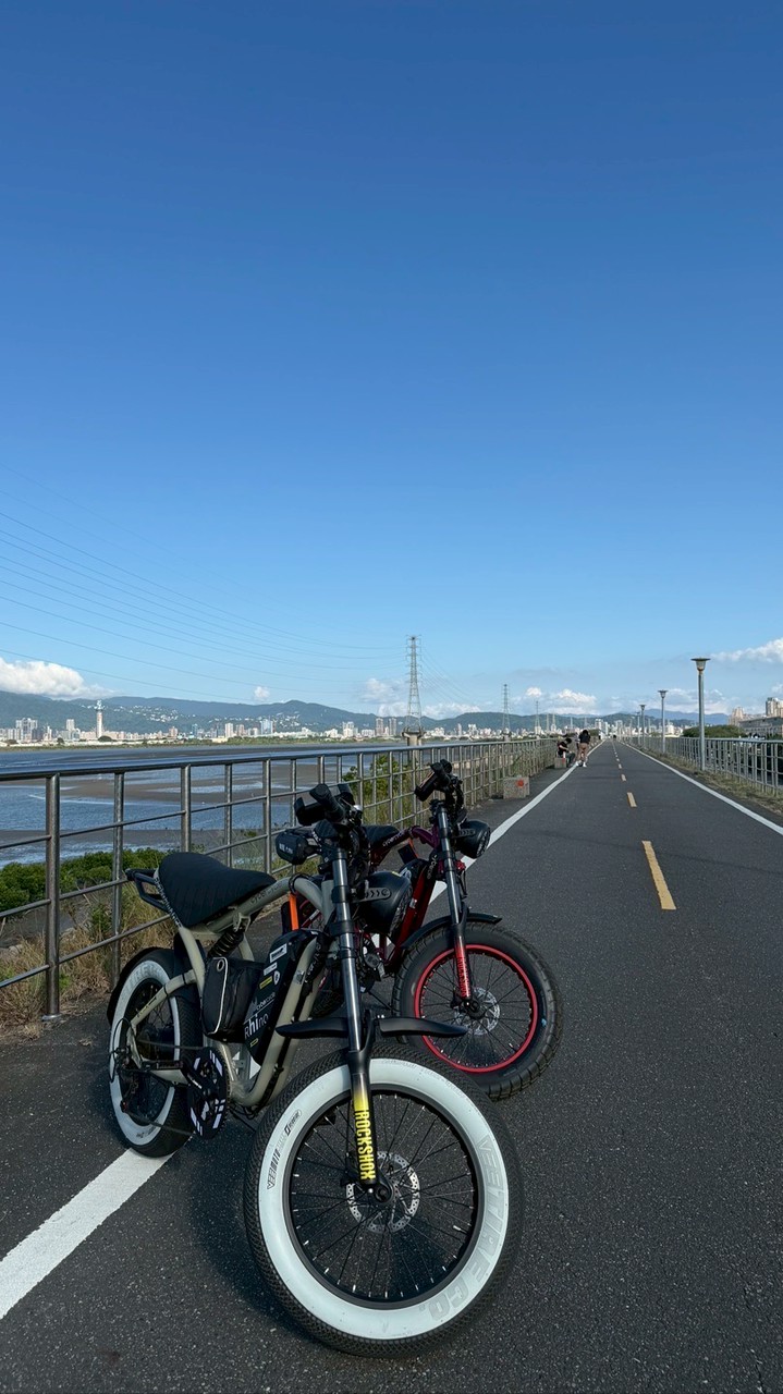 Rhino胖胎電輔自行車（北部）