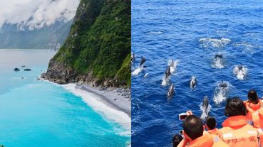 國慶連假全台5大熱門水上活動推薦！出海賞鯨、浮潛看海龜、獨木舟賞夕陽台灣就能體驗