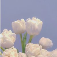 お悩み相談室