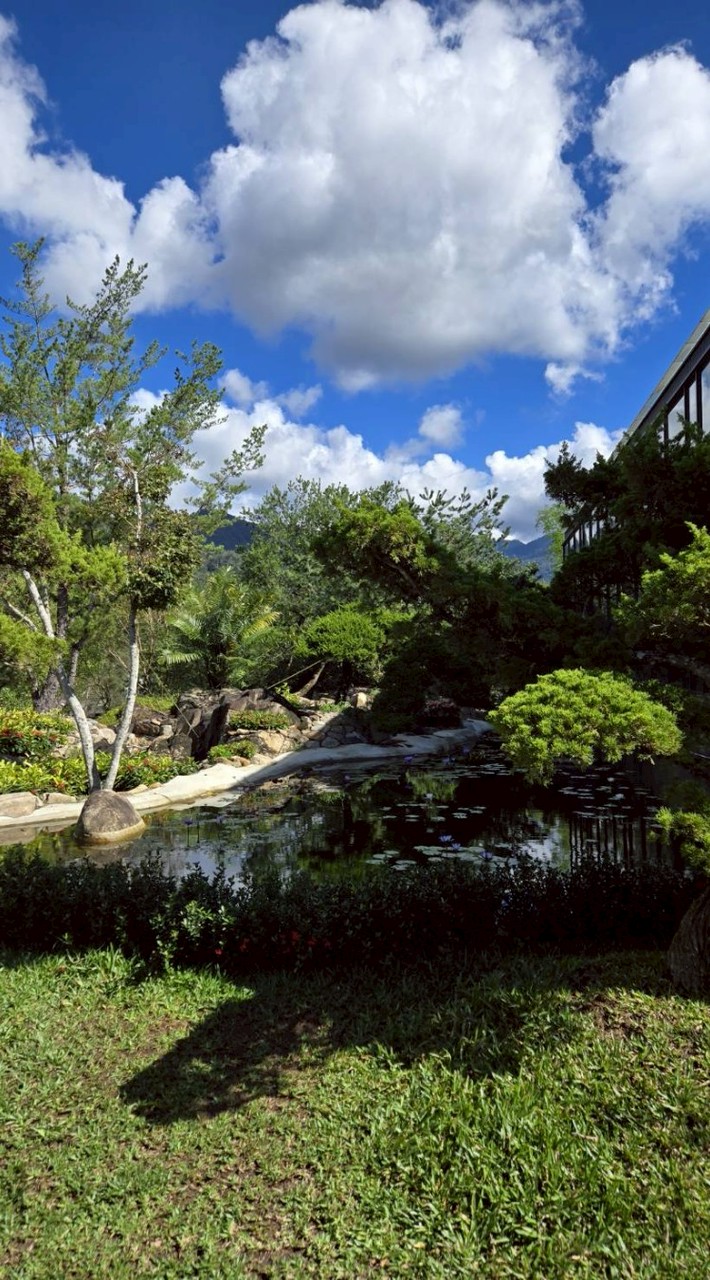 承然夫人卜運勢