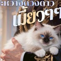 จบ❗️เสี่ยวซู ข้ามดวงดาวมาเกิดใหม่ เป็นแมว
