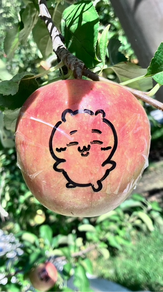 ぼくだよぼく