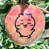 ぼくだよぼく
