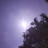南台灣感情諮詢