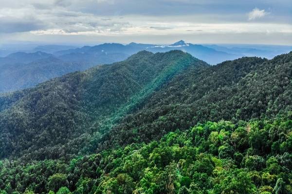 10 Gunung Tertinggi Dari Negara-Negara di Asia Tenggara