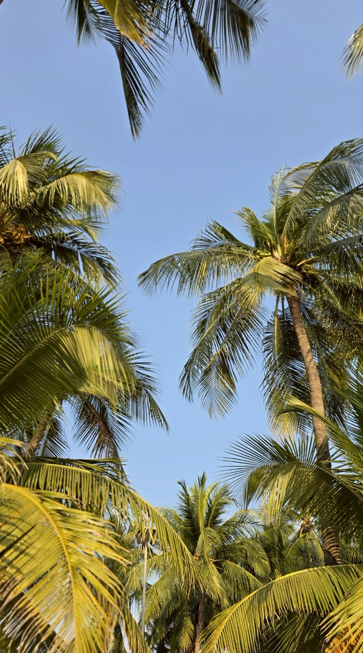 กลุ่มขายของกิน Ease พระราม 2 (2)