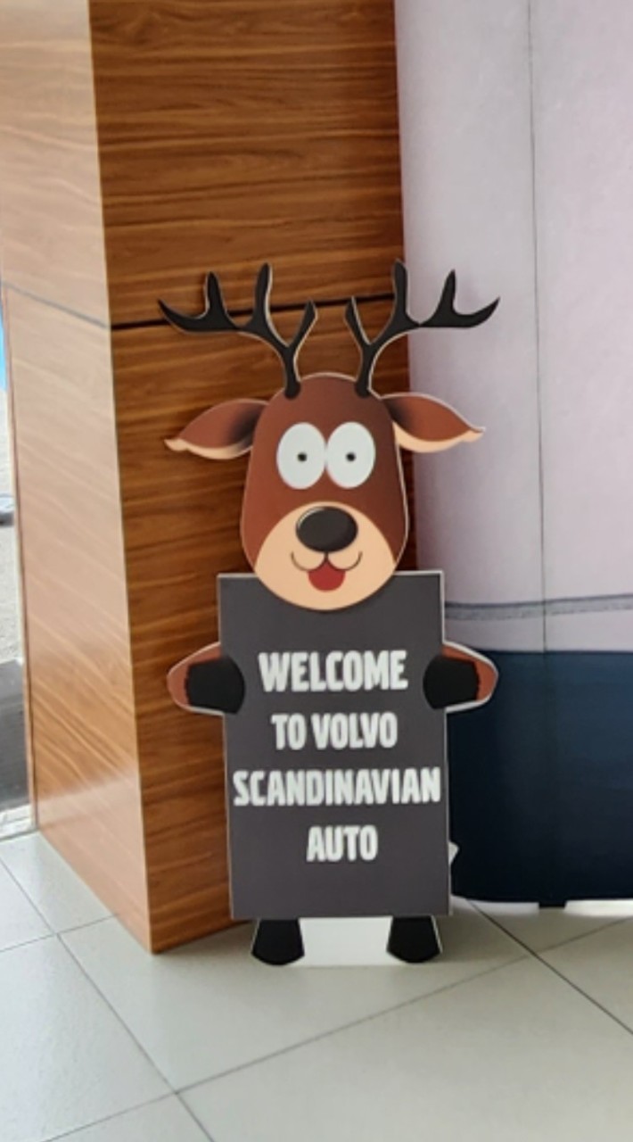 volvo scandinavian club