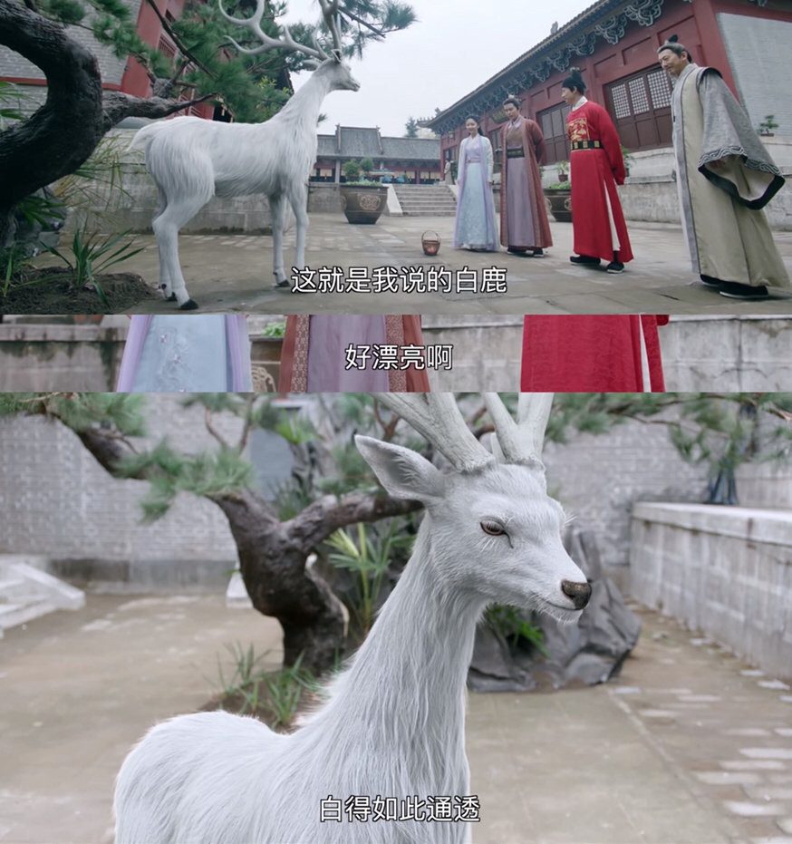 特效被群嘲的古裝劇4：任嘉倫、譚松韻《錦衣之下》