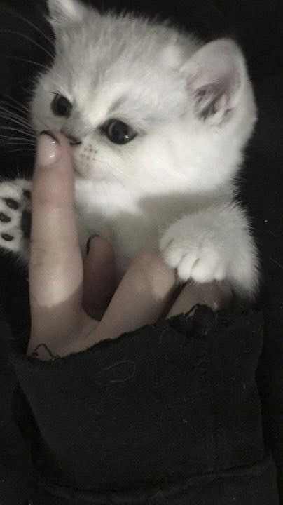 がっちゃん💋