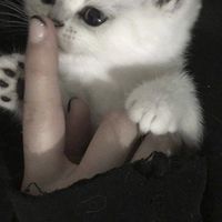 がっちゃん💋
