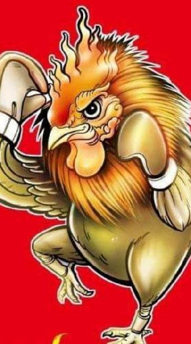 🐓ตามติดคู่ชน ติดมัดจำ🐓
